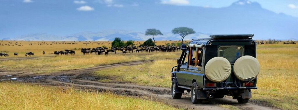 Best-Wildlife-safari-uganda.jpg
