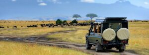 Best-Wildlife-safari-uganda.jpg