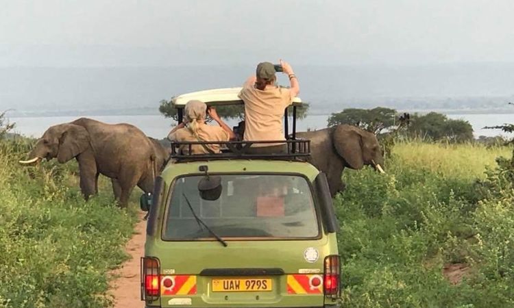 Game-drive-in-Murchison-Falls-National-park