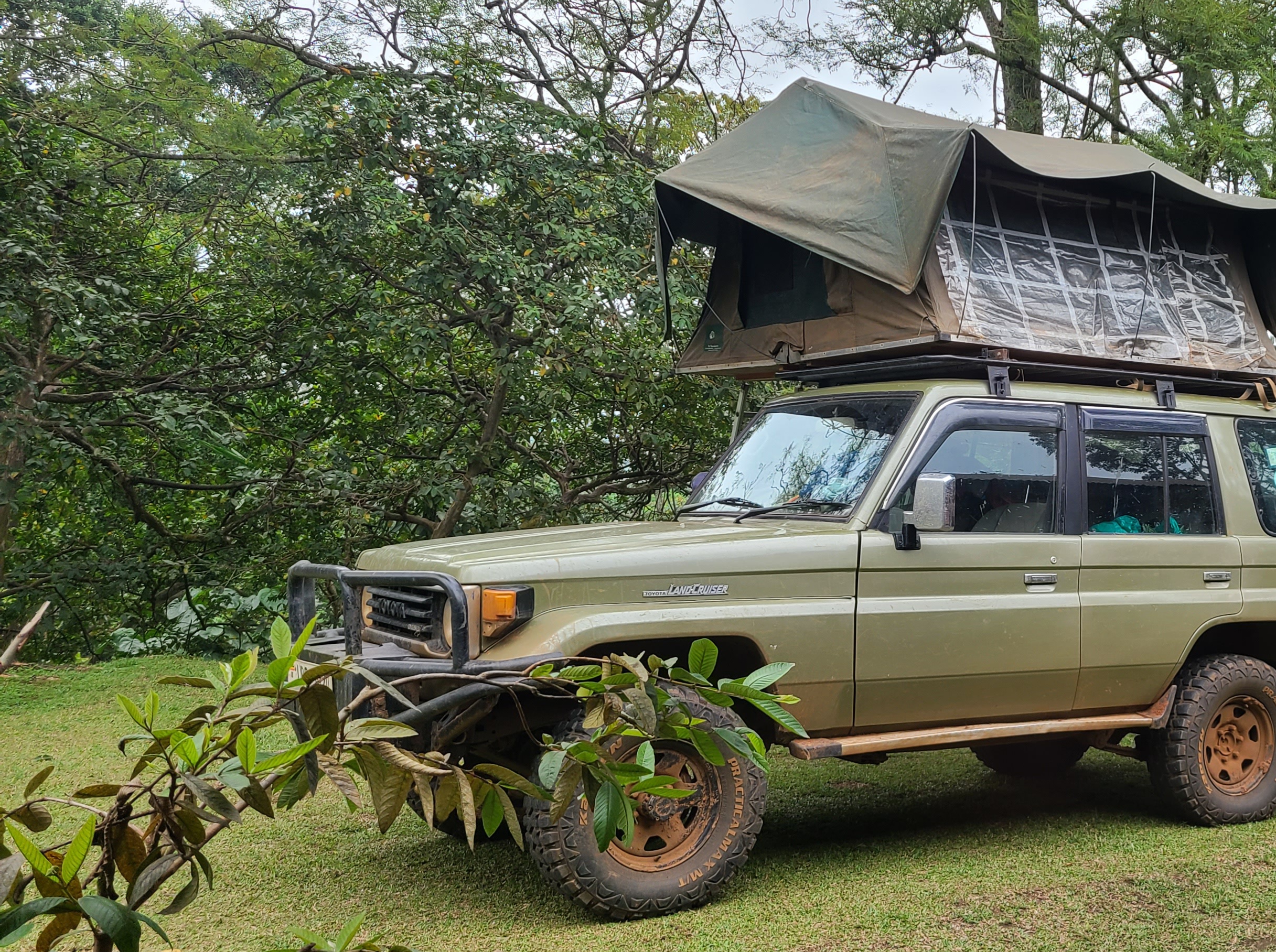Camping safaris with Landcruiser Hardtop in Uganda