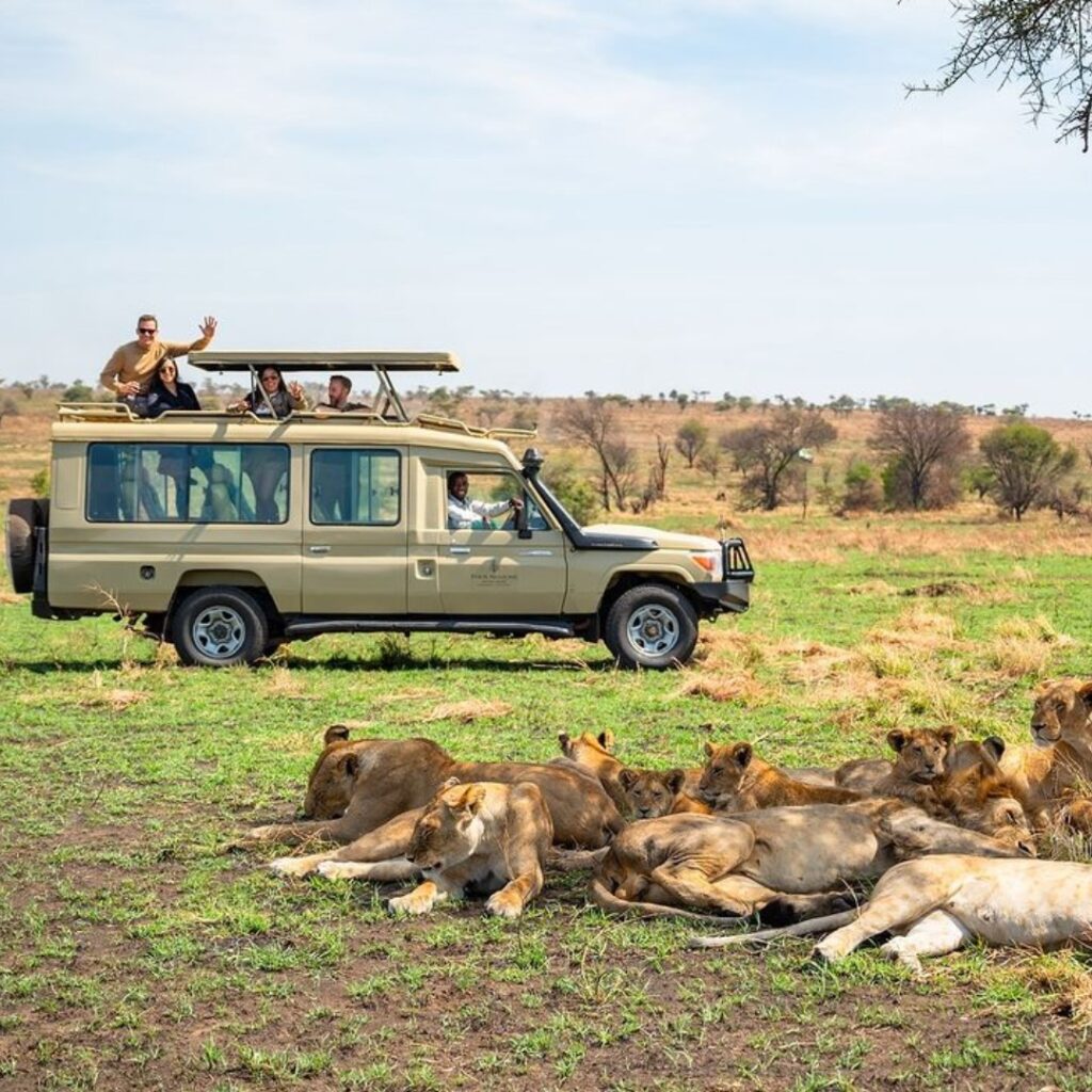 game drive in queen elizabeth national park