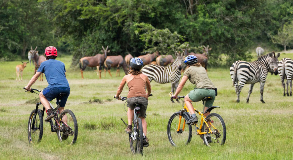 Bicycle-Safari-in-Lake-Mburo-National-Park.jpg