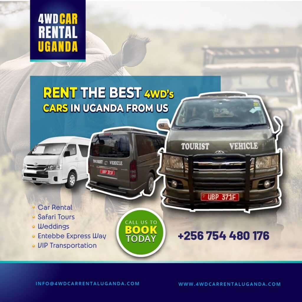festive-car-rental-deals-christmas-offer-deals.