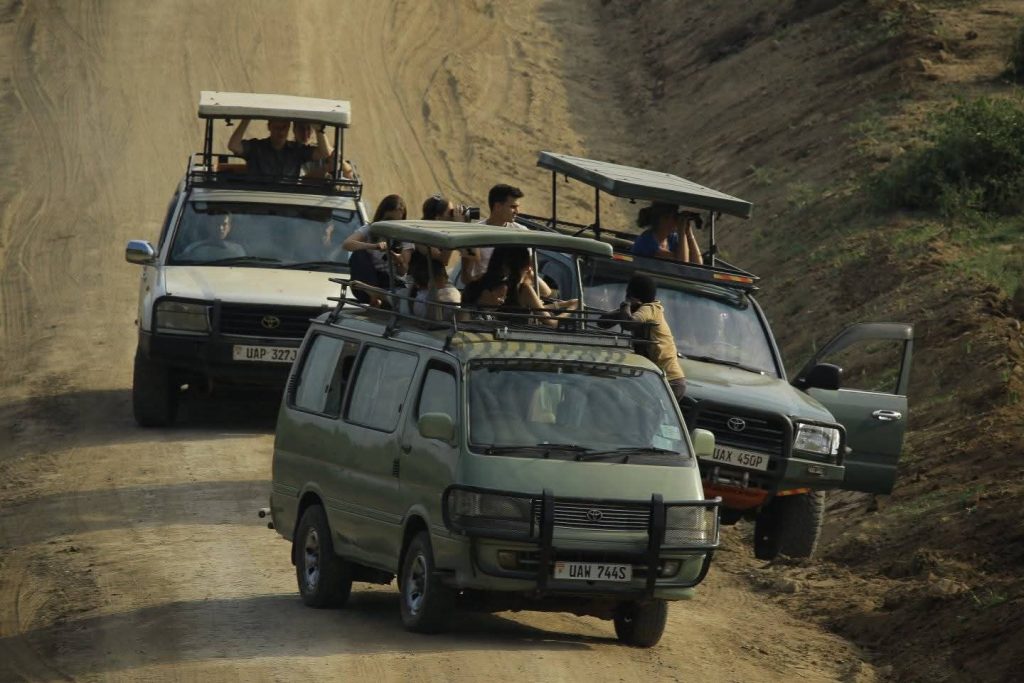 Family-car-rental-to-queen-elizabeth-national-park