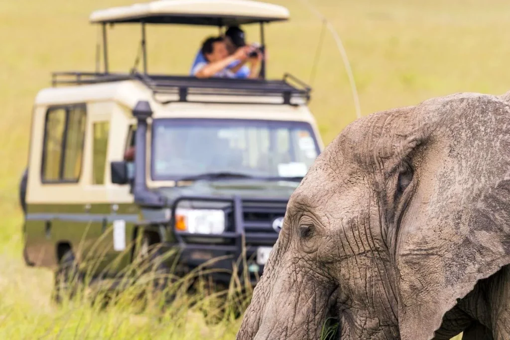 Wild-life-safari-in-Uganda