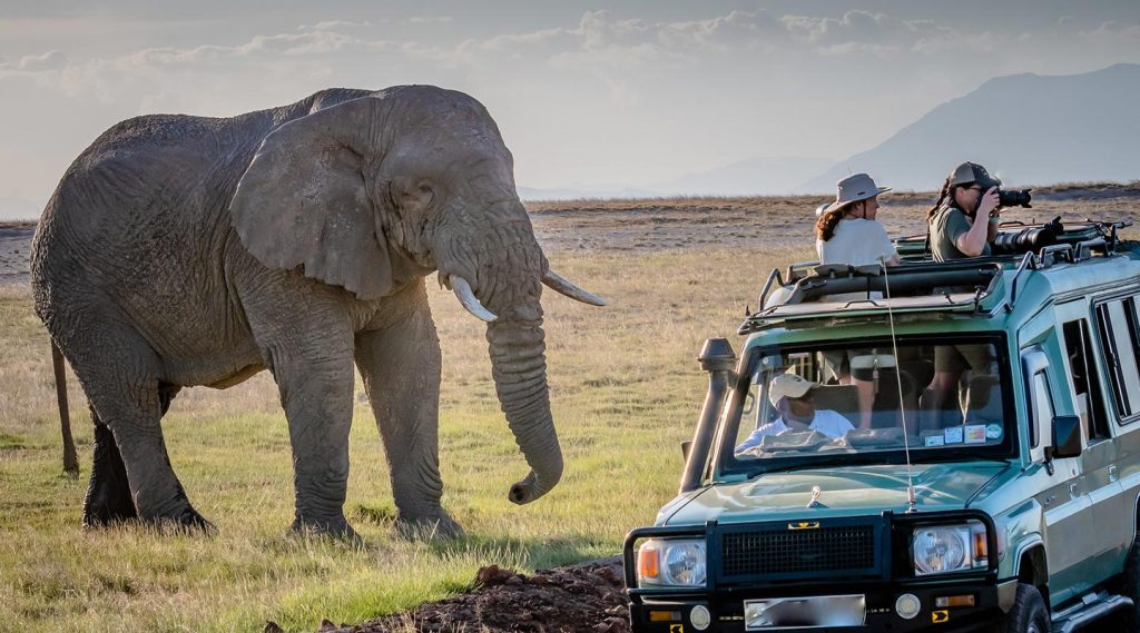 Rent 4x4 Safari Land Cruiser Extended in Uganda from $120
