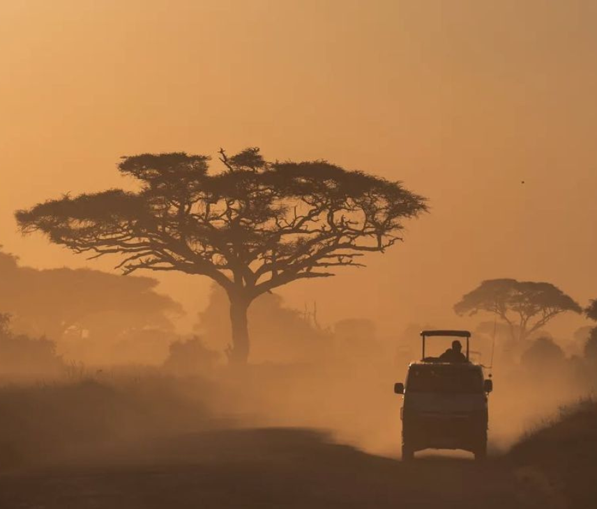4wd car rental Uganda - game drive