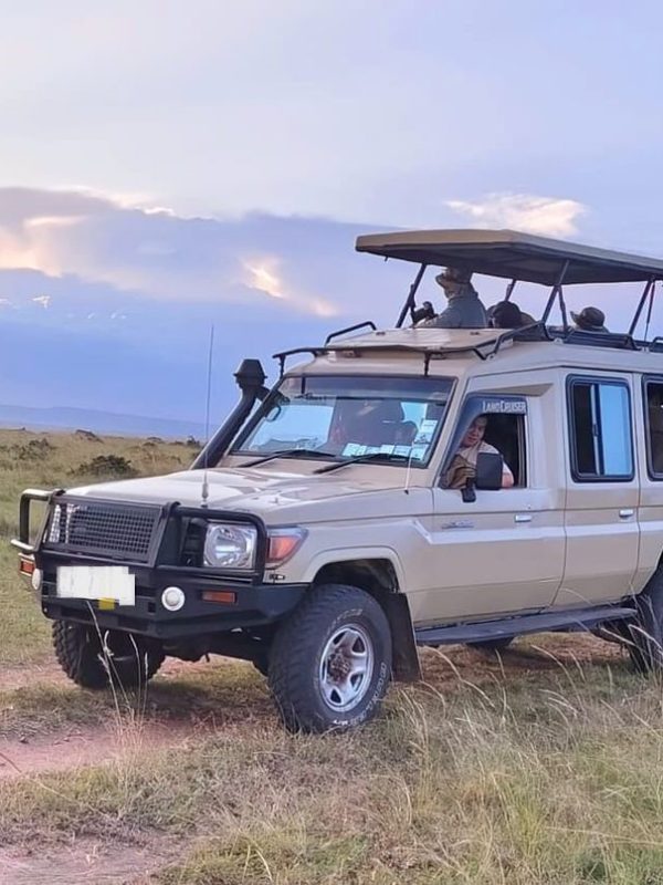 safari land cruiser